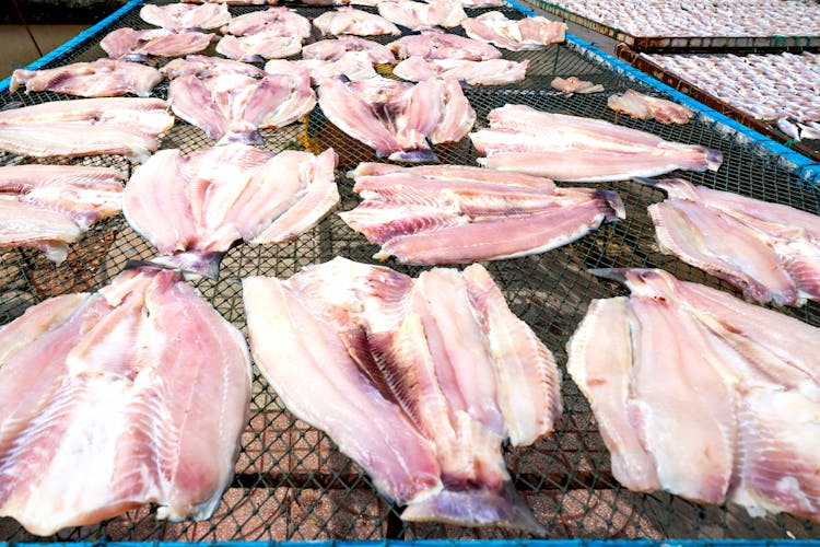 Drying Fish Meat