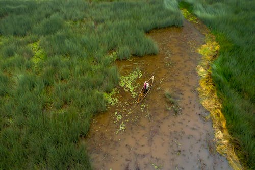Gratis stockfoto met dronefoto, grasland, kreek
