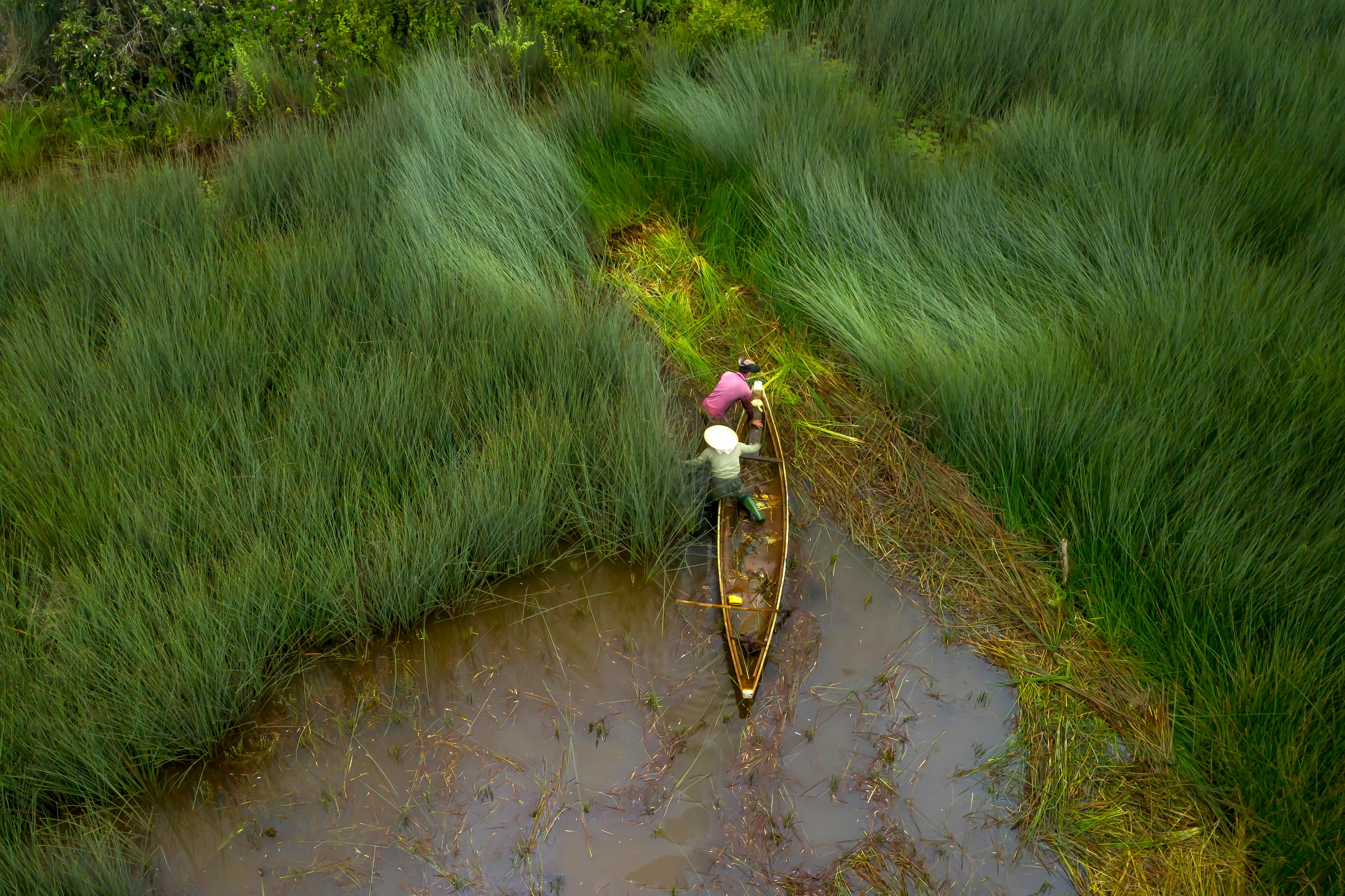 climate resilience ecosystem restoration — Photo by Quang Nguyen Vinh on Pexels