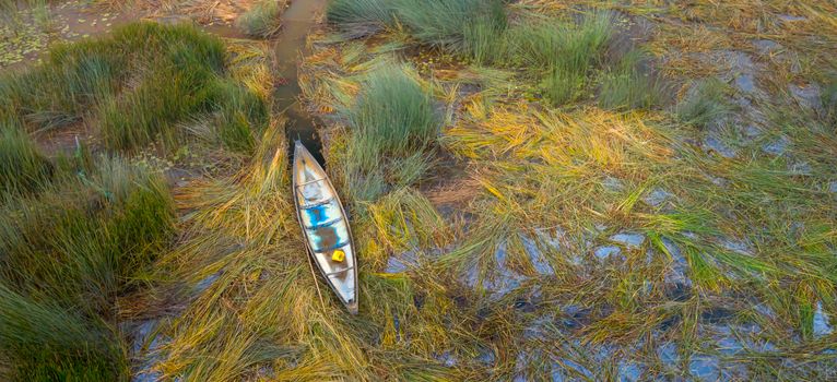 Okavango mokoro canoe morning — Botswana