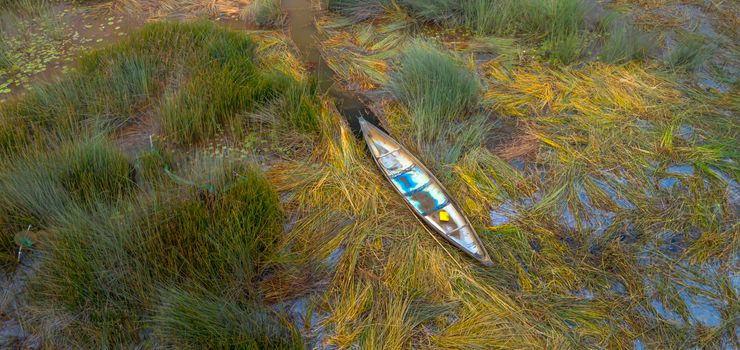Okavango mokoro canoe morning — Botswana