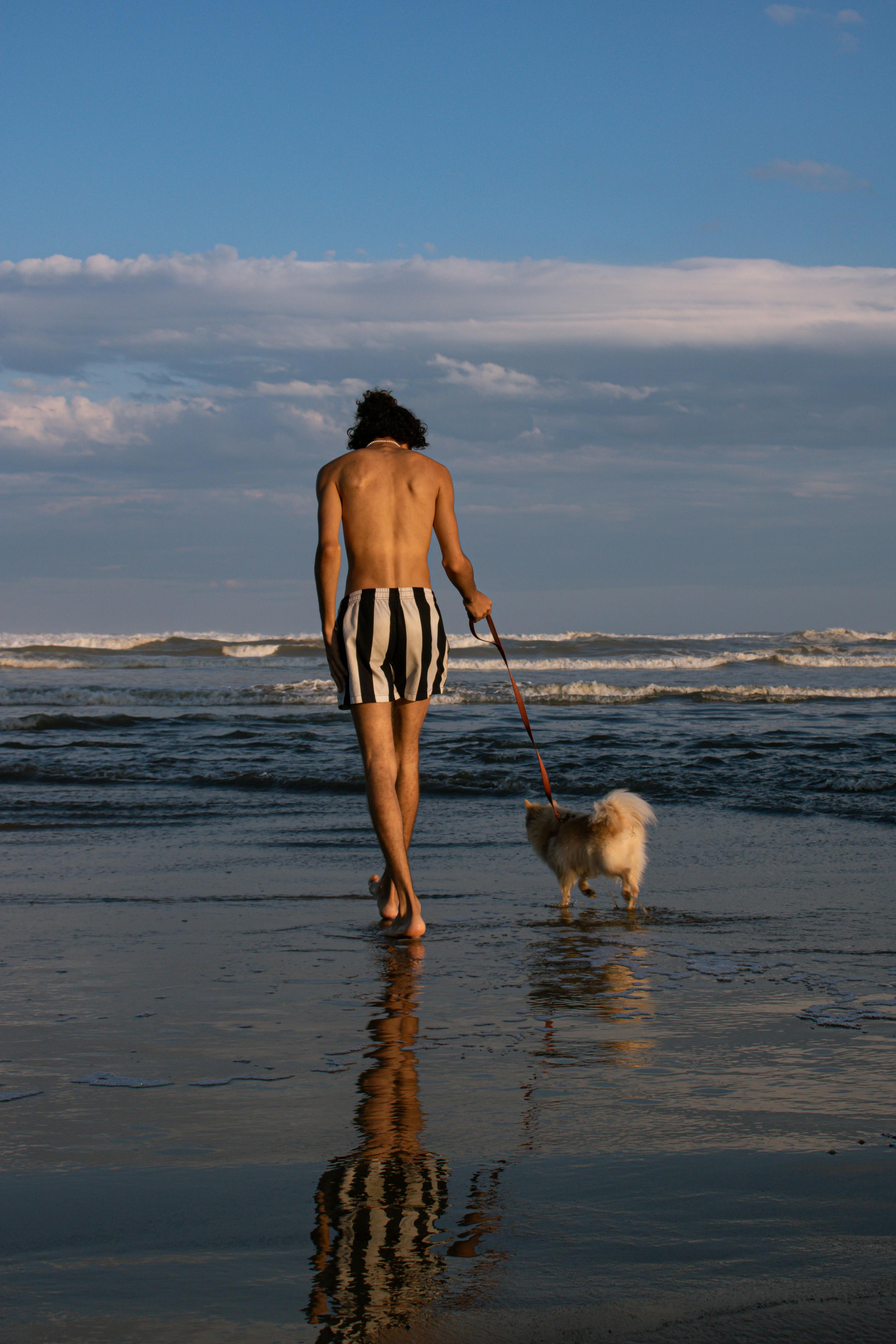 Topless Man Walking at the Beach with a Dog · Free Stock Photo