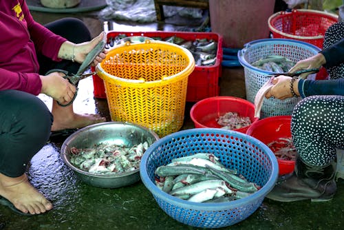 Close-up of Fishes on Baskets 