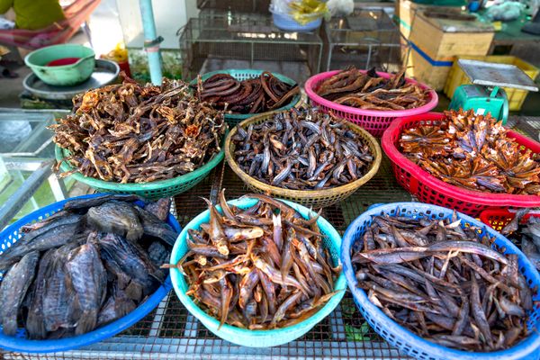 Malé Fish Market