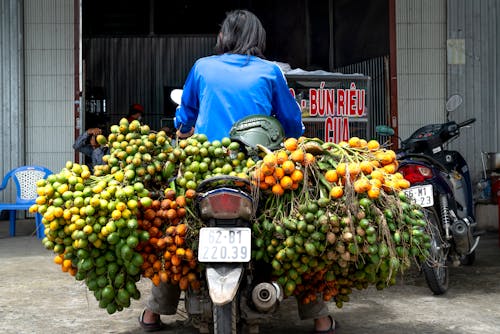 Fotos de stock gratuitas de colgando, frutas, hombre