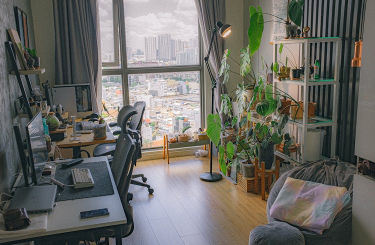 Room With Plants And Armchairs