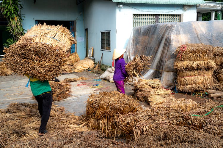 People Working On A Farm