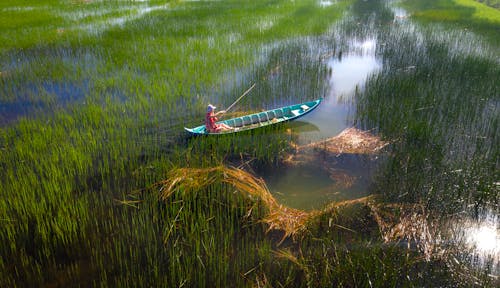 Person Sitting on Boat on Swamp