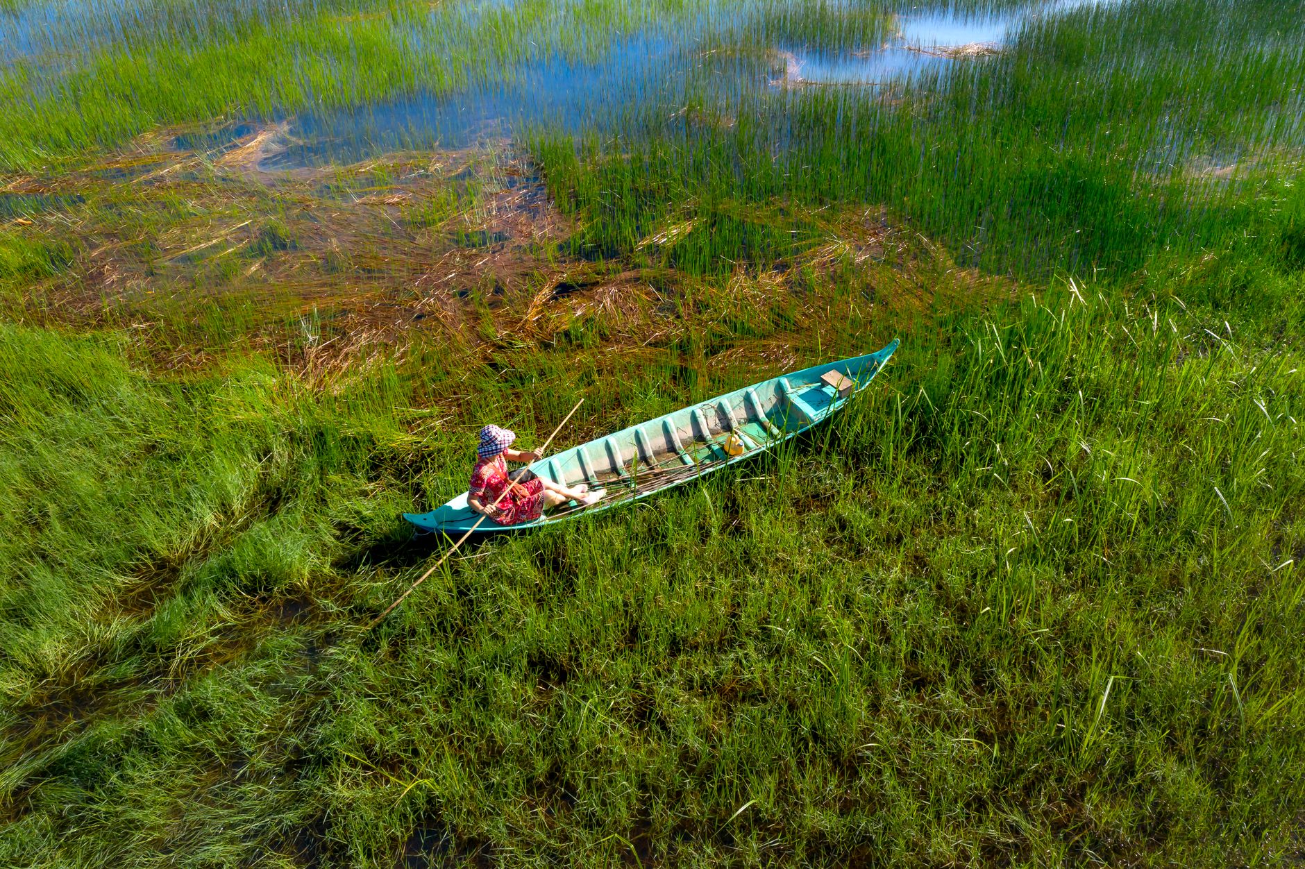 Aerial shot of woman paddling a canoe through verdant wetlands, showcasing natural beauty and exploration.