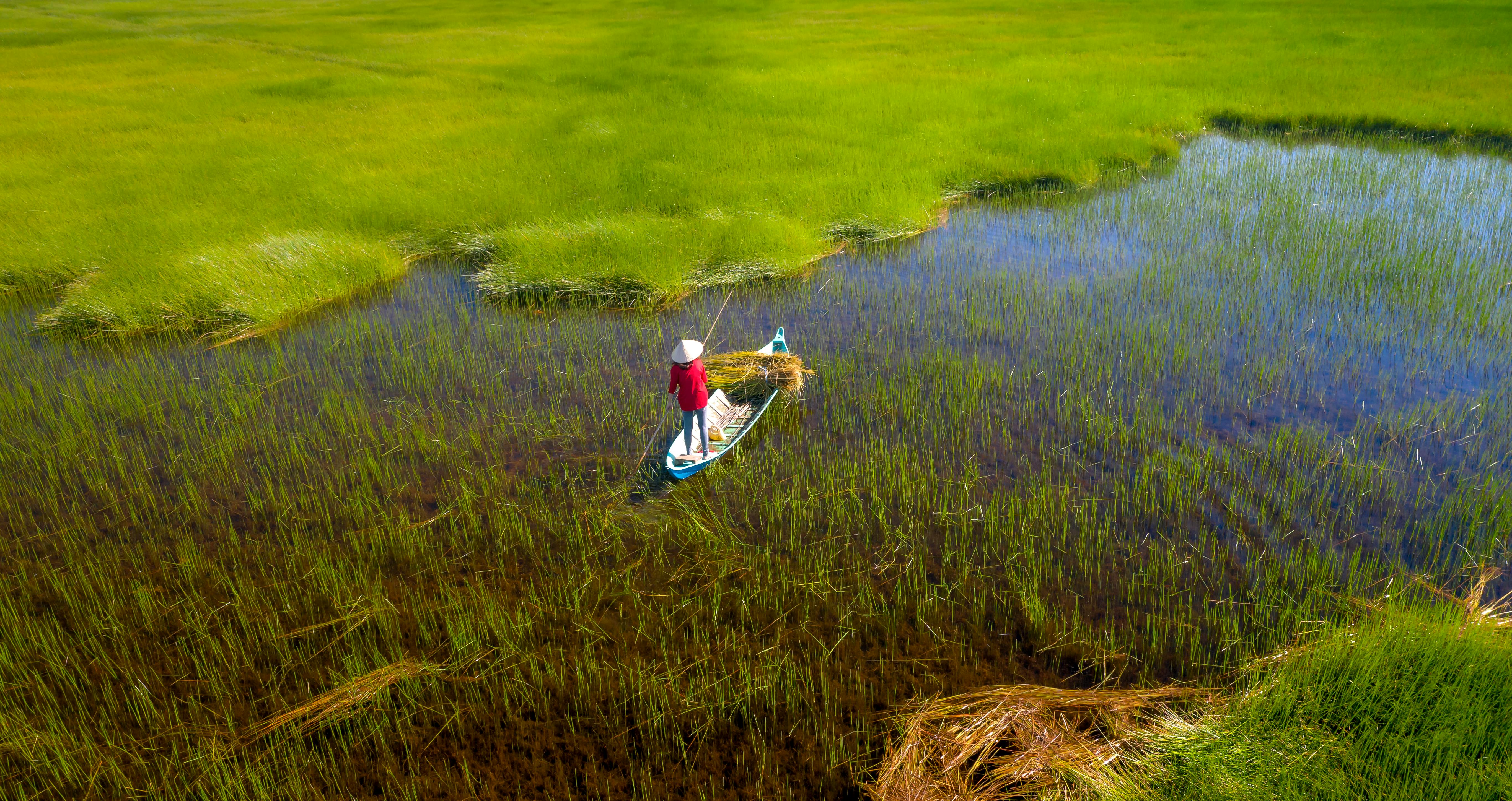 Was Sonic 06 rushed?