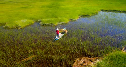 Person on Boat on Marsh