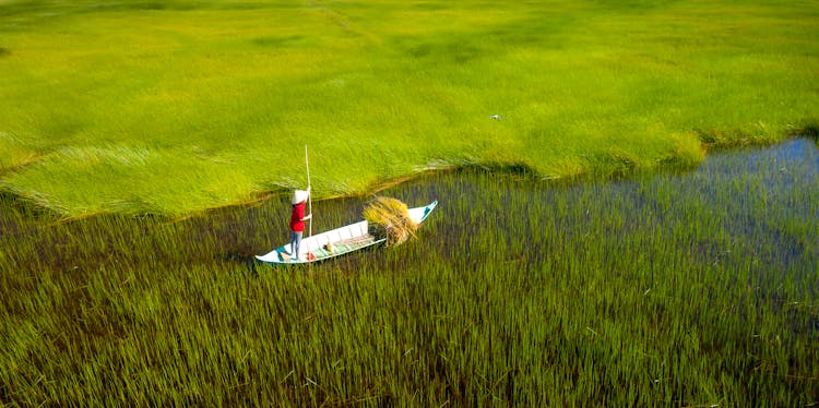 Person In Boat On River