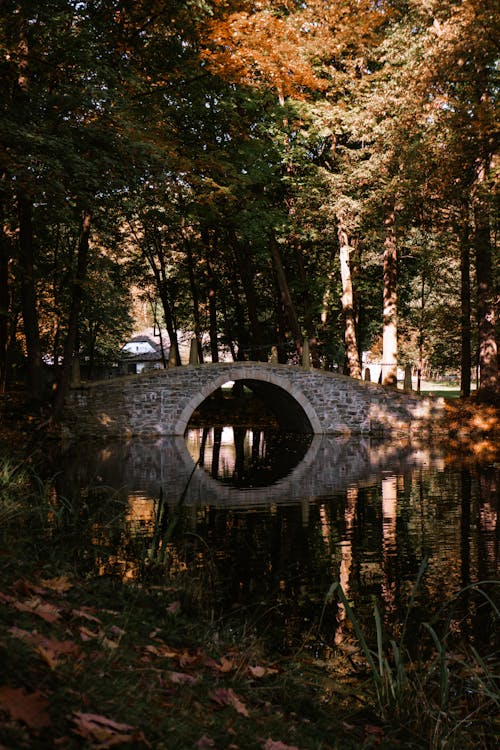 Základová fotografie zdarma na téma most, mosty, odraz