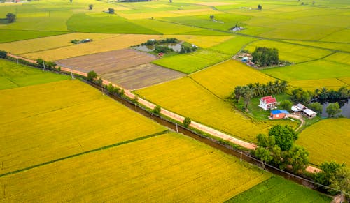 Gratis arkivbilde med åkre, dronebilde, flyfotografering