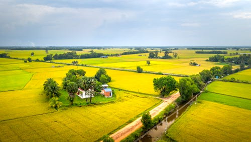 Gratis stockfoto met achtergrond, akkers, bomen