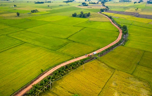 Kostenloses Stock Foto zu außerorts, drohne erschossen, felder