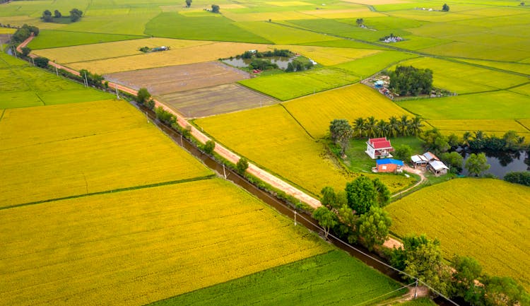 Aerial Photography Of Wooden Houses On Farm Field