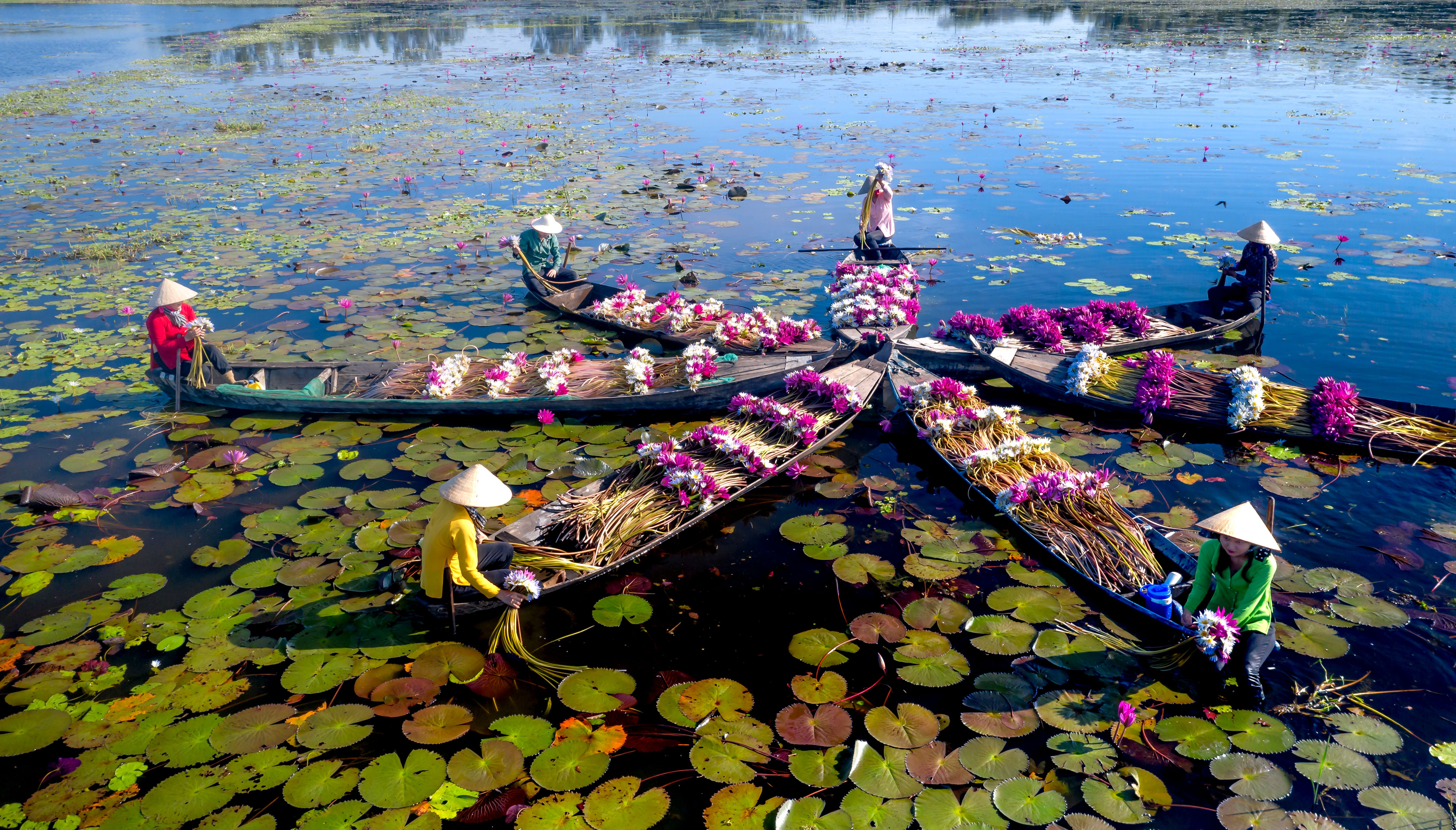 “Flavors & Floating Markets: The Ultimate Ho Chi Minh–Mekong Experience”