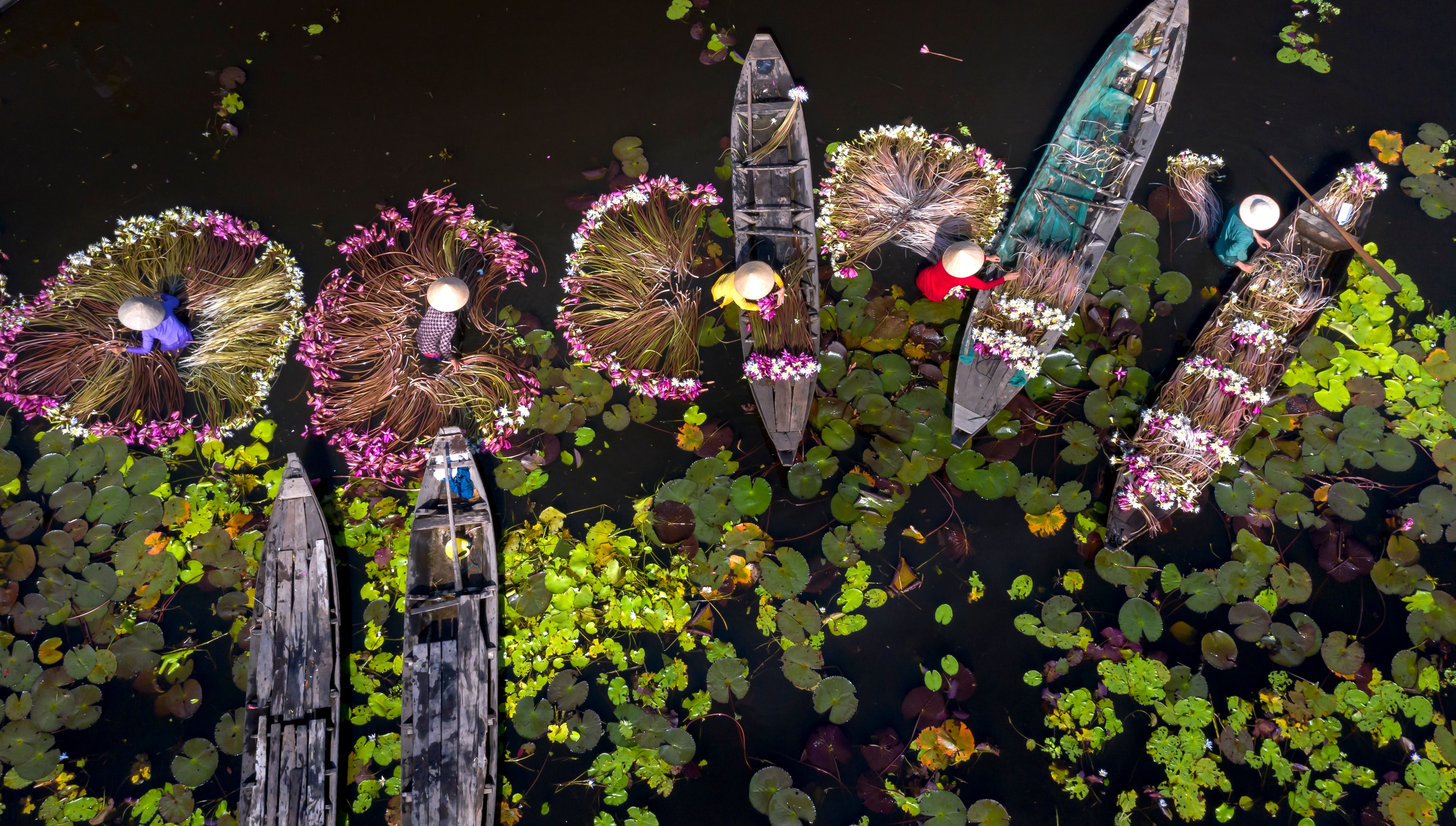 Umbrellas, Boats and Water Lilies on Water · Free Stock