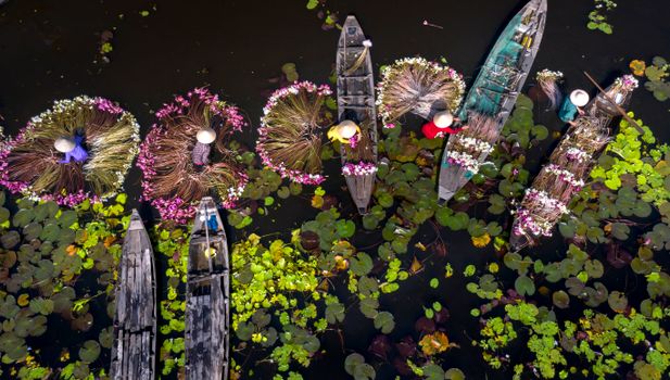 Umbrellas, Boats and Water Lilies on Water