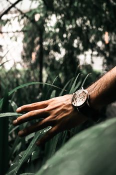 Close-up of a hand wearing a stylish wristwatch amidst lush greenery, showcasing elegance and nature.