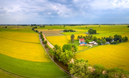 Immagine gratuita di azienda agricola, campagna, campi