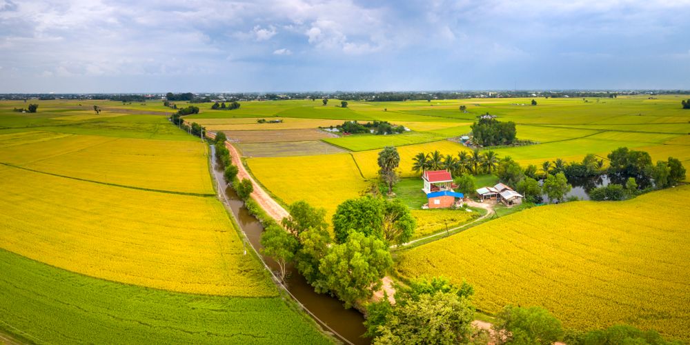 Vay nông nghiệp nông thôn - Giải pháp tài chính tối ưu cho nông dân Việt Nam