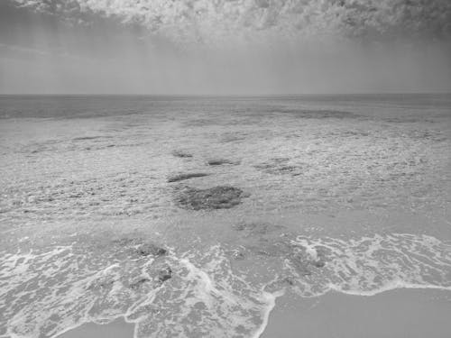 Δωρεάν στοκ φωτογραφιών με ασπρόμαυρη φωτογραφία, διάθεση, θάλασσα