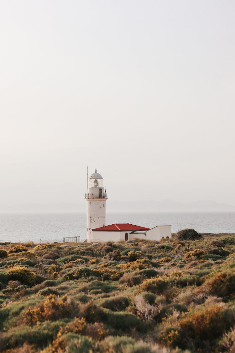 View Of Lighthouse Standing In Heath At Seaside