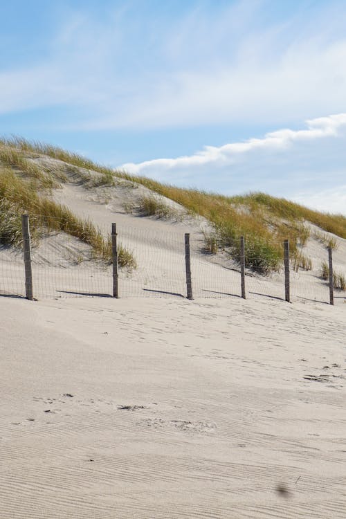 Free Fence on the Beach Stock Photo