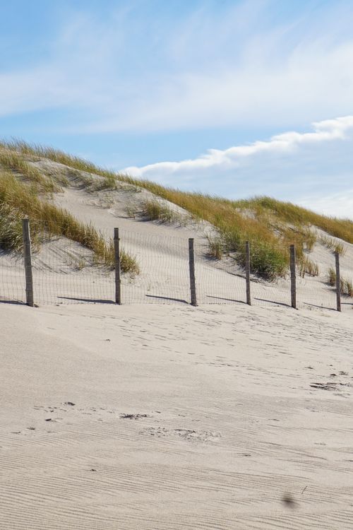 Free Tranquil beach scene featuring sand dunes and a wooden fence under a bright blue sky. Stock Photo