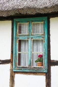 Weathered window with lace curtains and potted flower adding rustic charm.