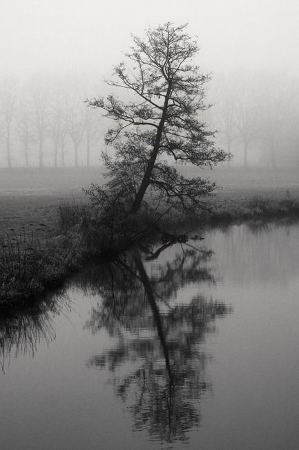 Misty black and white river scene with tree reflections in Borken, Germany.