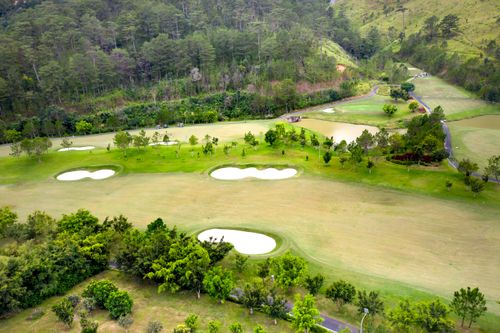 Campos de golf