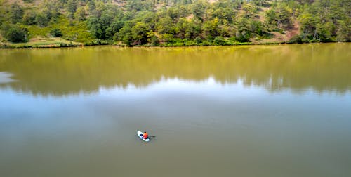 Aerial View of a Person Kayaking on the Lake