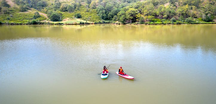 Two people kayaking on a calm lake surrounded by lush greenery, viewed from above.