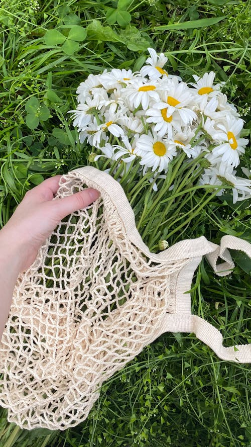 Person Holding White Mesh Tote Bag Beside a Bunch of Daisies