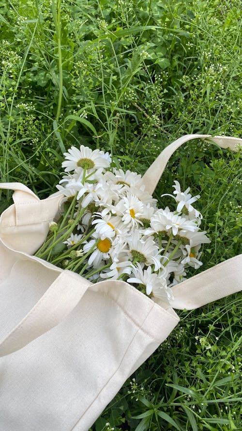 White Daisy Flowers on Tote Bag