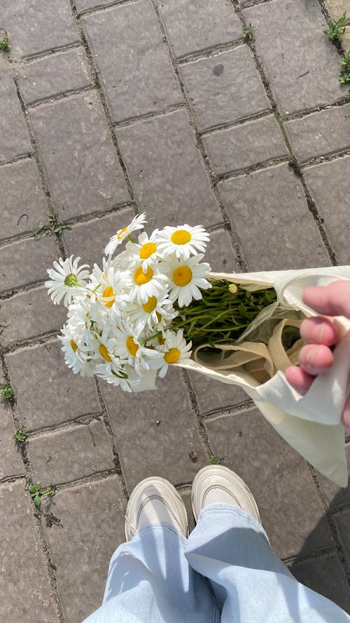 Person Standing on Stone Pavement Carrying White Daisy Flowers Inside a Tote Bag