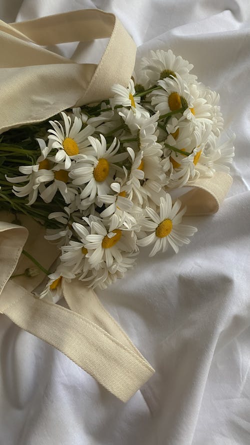 Бесплатное стоковое фото с белая поверхность, белые цветы, вертикальный выстрел