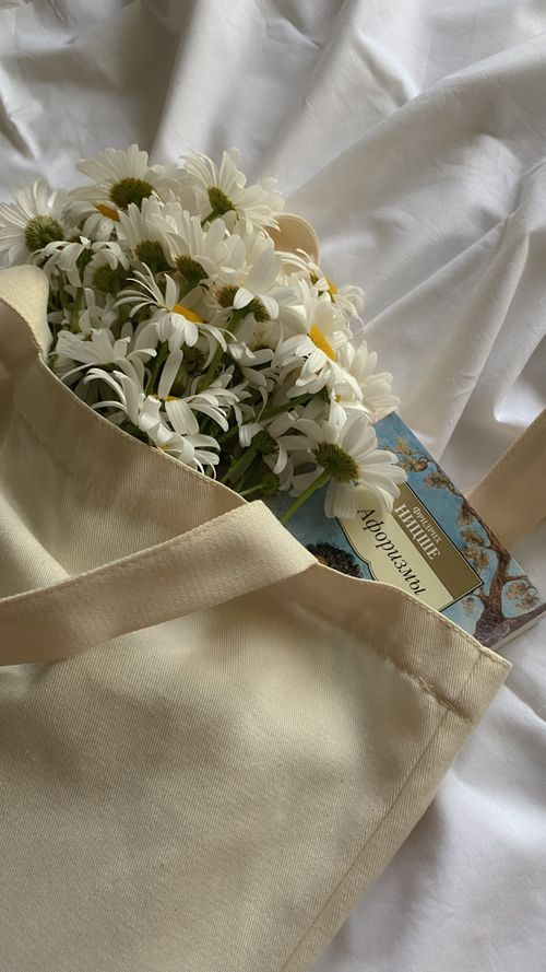 Free Charming arrangement of daisies in a tote bag, accompanied by a book on soft white fabric. Stock Photo