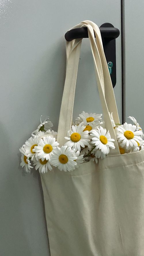 Free A stylish tote bag overflowing with vibrant daisies against a simple backdrop. Stock Photo