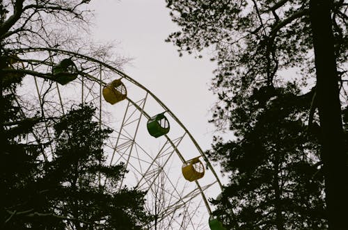 Gratis Ferris Wheel Dekat Pepohonan Foto Stok