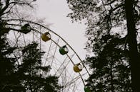 透过高耸的松树，色彩缤纷的摩天轮为公园增添了风景