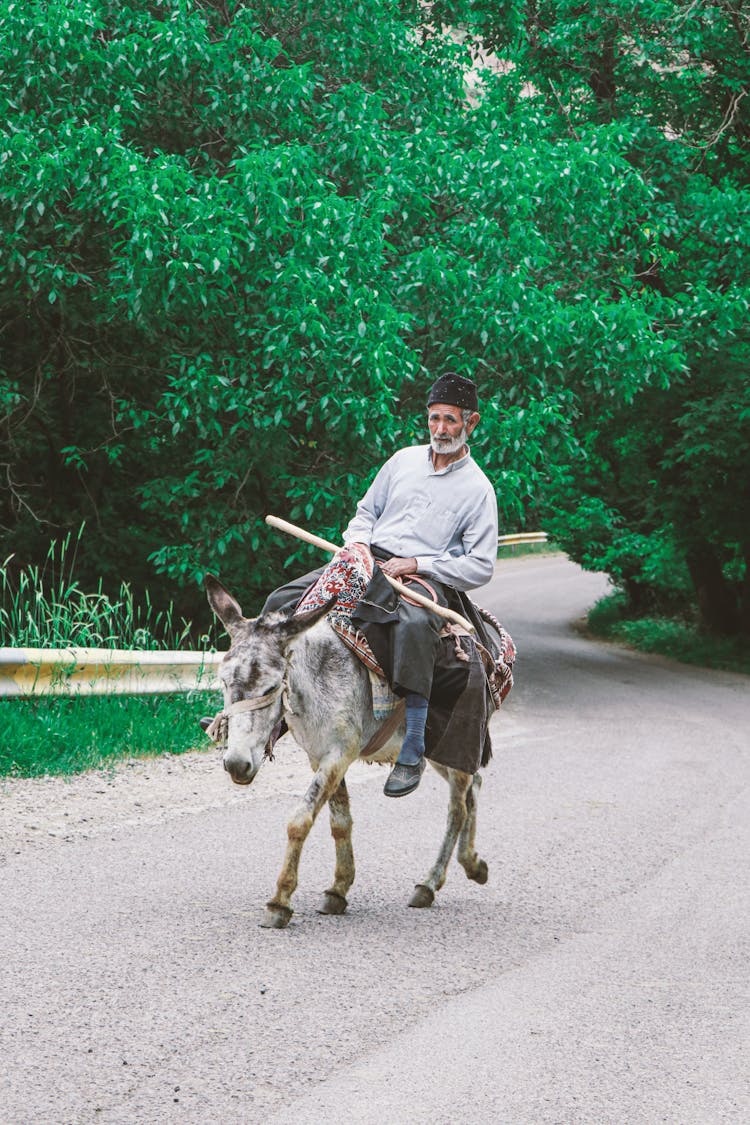 Elderly Man Riding A Donkey 