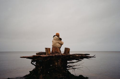 Photo of Person Sitting on Tree Stump Near Body of Water