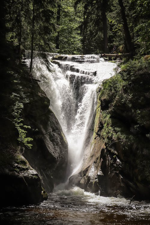 Foto profissional grátis de cachoeiras, fluido, meio ambiente