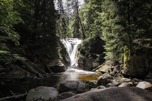 Foto profissional grátis de cachoeira, cânone, floresta