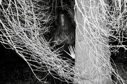 Free An eerie figure stands ominously among bare trees at night, creating a spooky Halloween atmosphere. Stock Photo