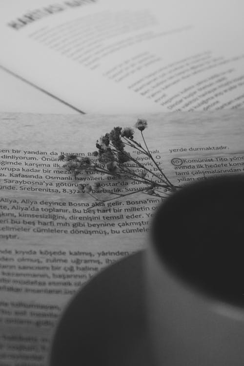 Black and White Photo of Small Flowers on Newspaper